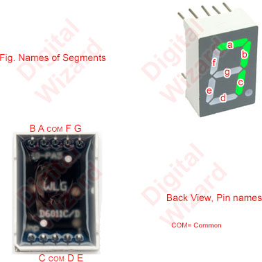 seven segment pin configutration